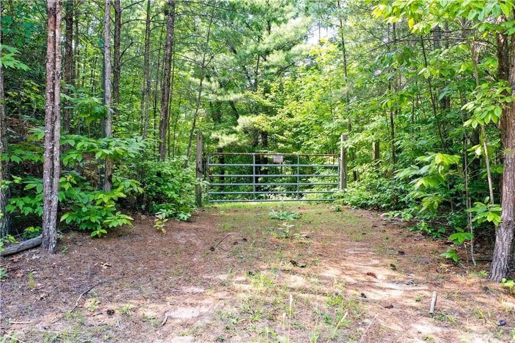 Vacant Land in Ellijay - Ellijay, Georgia, 30540