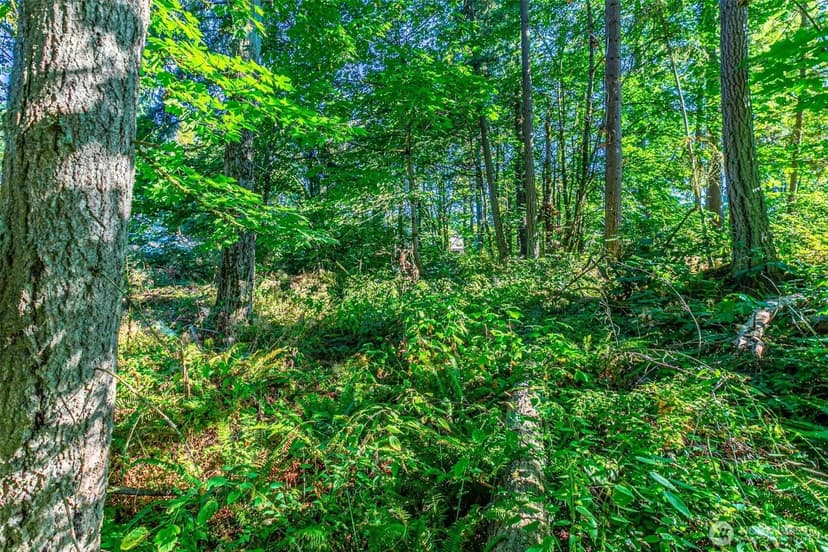 Vacant Land in Federal Way