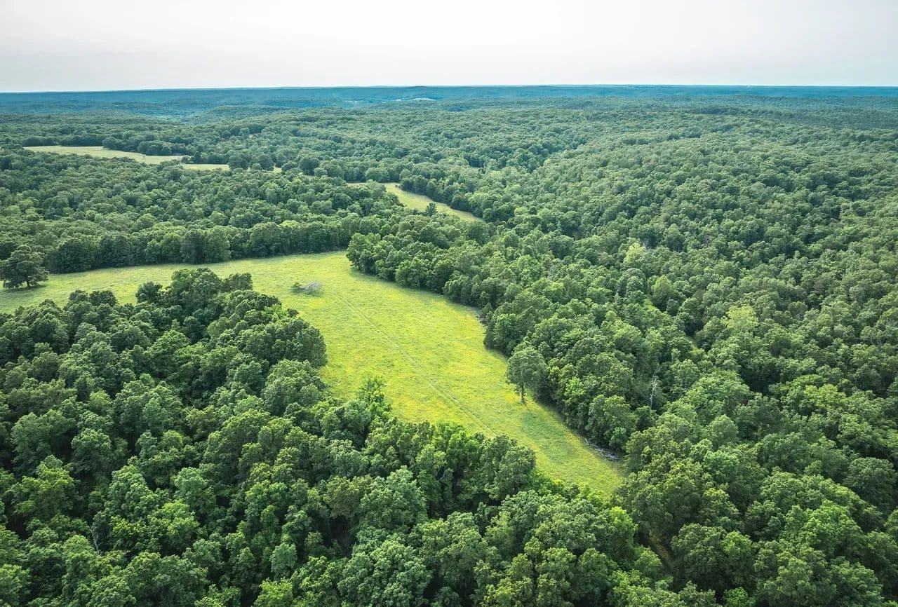 Wesco Auction Tract 4 - Cook Station, Missouri, 65449