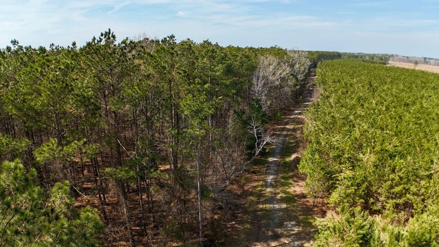 Cofield NC Deer Duck and Turkey Tract - Cofield, North Carolina, 27922