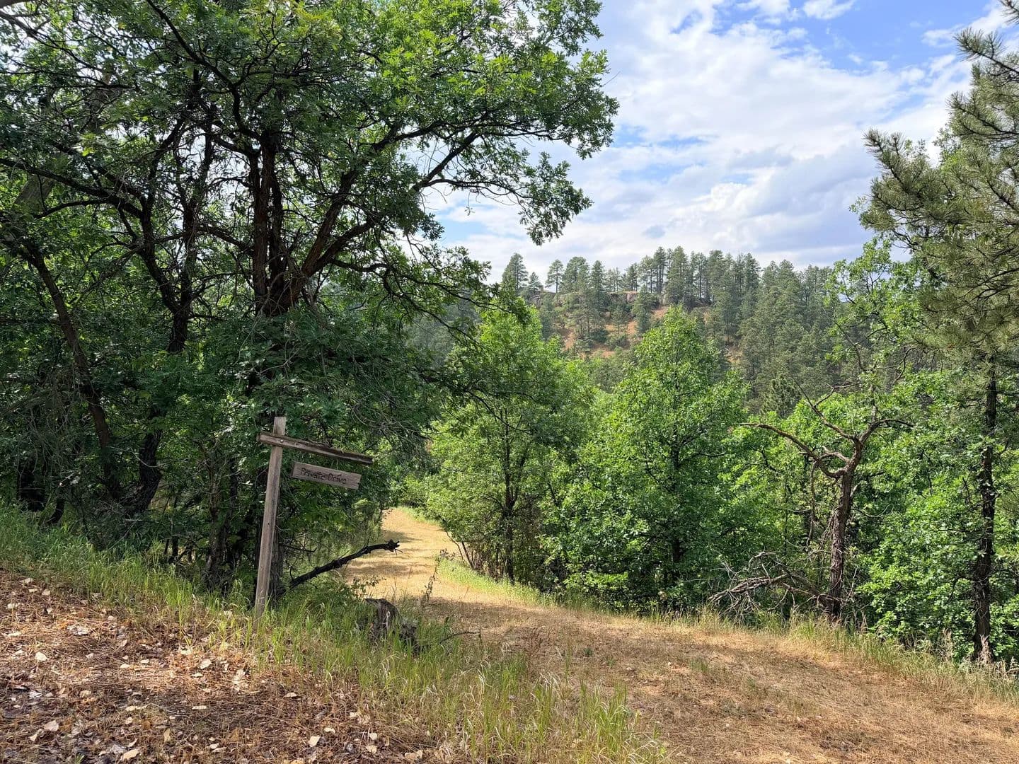 Land -Single Family Acreage in Spearfish - Spearfish, South Dakota, 57783