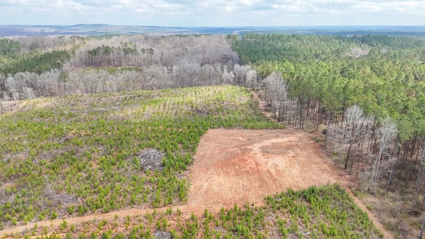 44 +/- Acres In Chambers County, AL