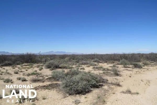 San Simon, AZ 200 Acres Farmland Plant your Nut Trees Here!!! - San Simon, Arizona, 85632