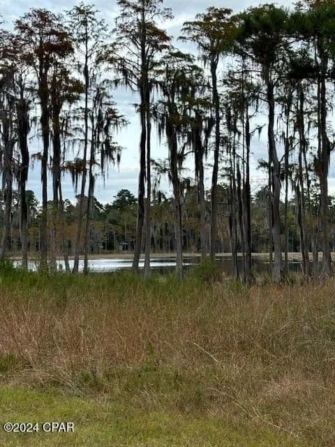 Vacant Land in Chipley - Chipley, Florida, 32428
