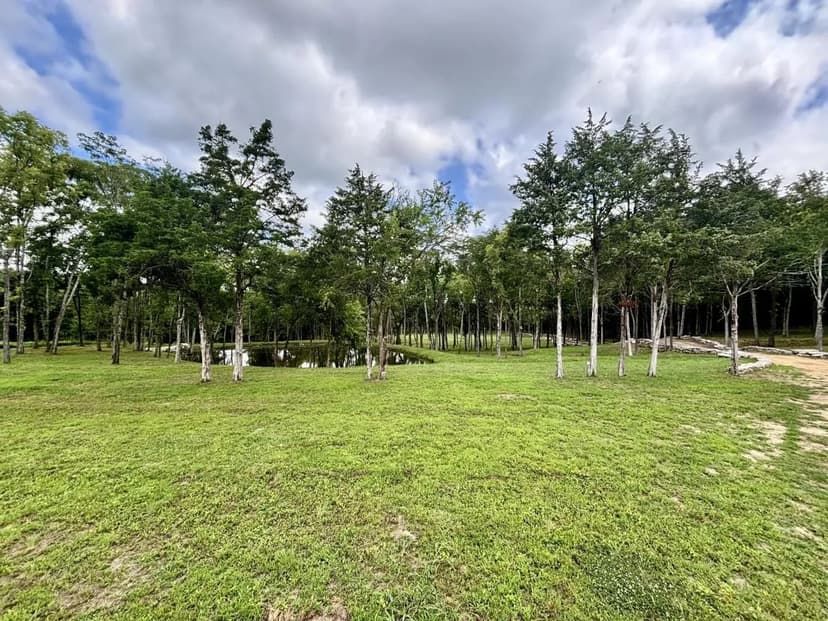 8598 Taliaferro Road