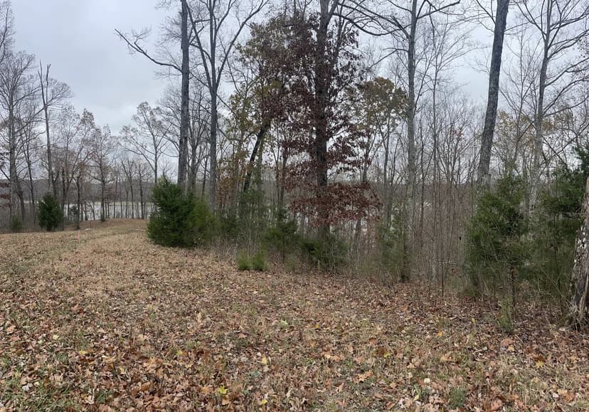 Land -Single Family Acreage in Monticello