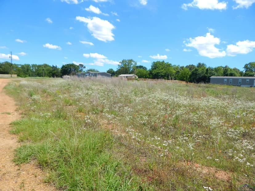 Vacant Land in Gilmer