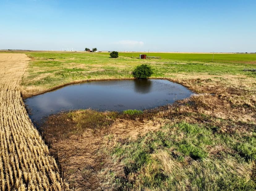 Property from 1250 County road 4430 - KW