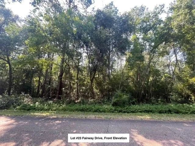Vacant Land in Abita Springs - Abita Springs, Louisiana, 70420
