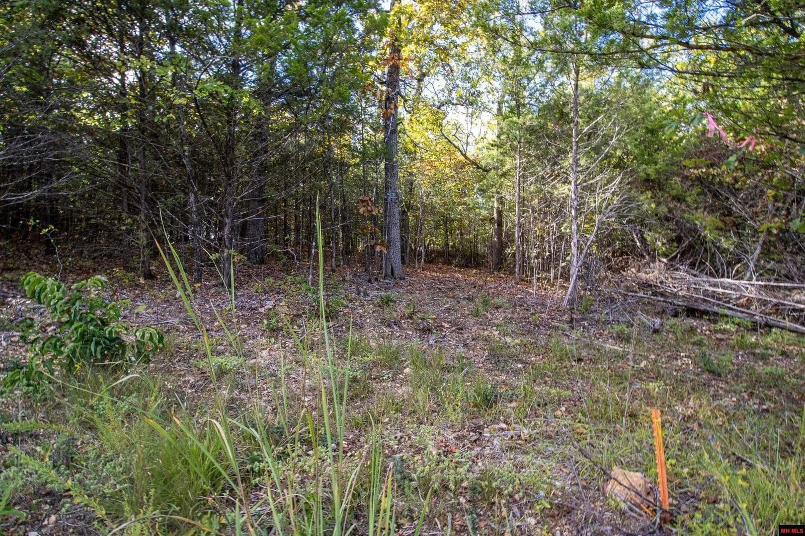 Lots & Land-Other in Mountain Home - Mountain Home, Arkansas, 72653