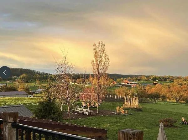 Marceline Vineyards Winery - Mt Crawford, Virginia, 22841