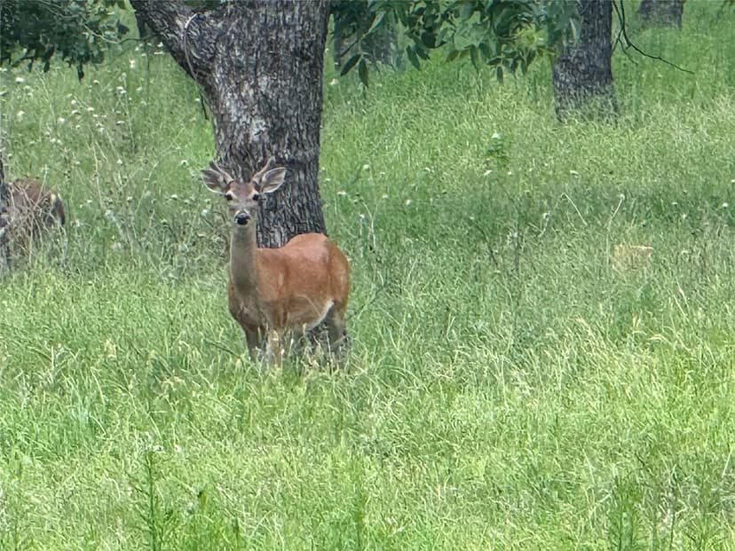 Property from 3140 E Landings S - KW