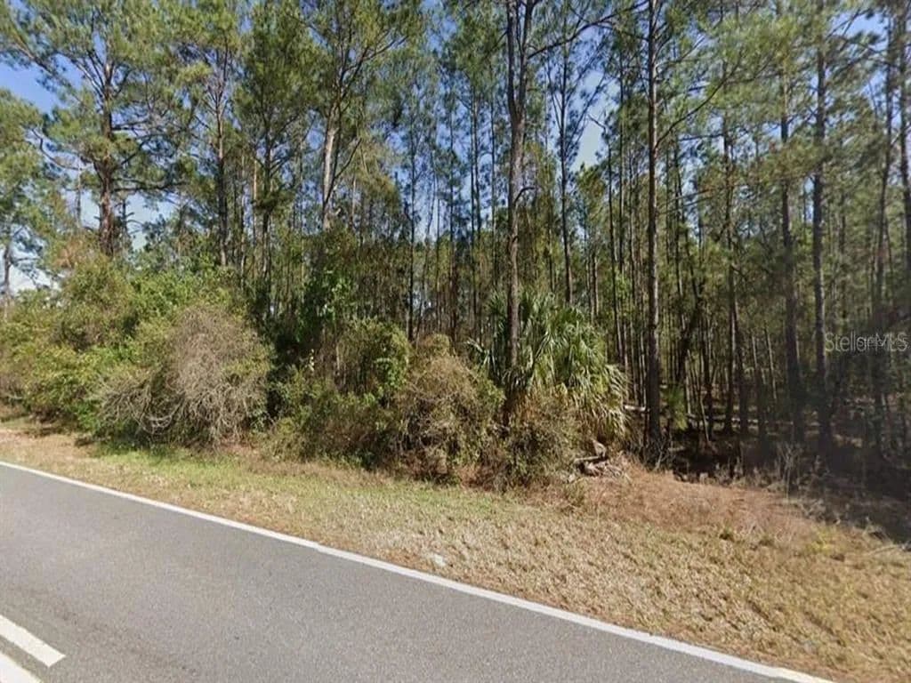Vacant Land in Eustis - Eustis, Florida, 32736