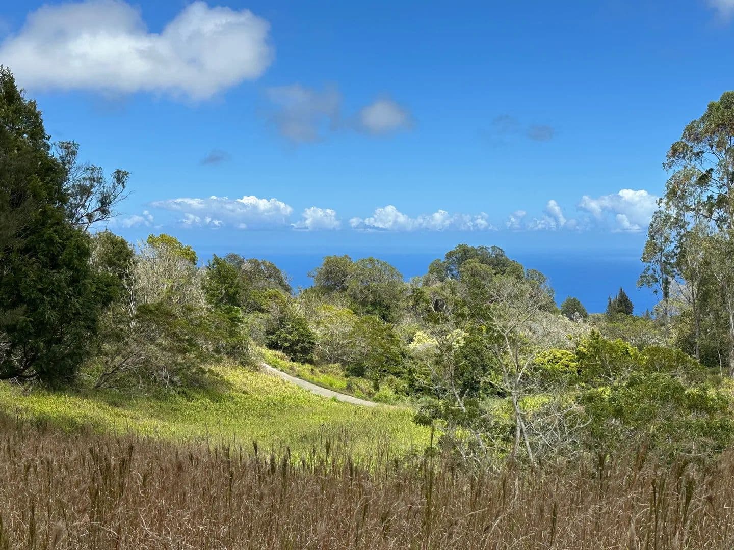 Vacant Land in Paauilo - Hawaii, 96776
