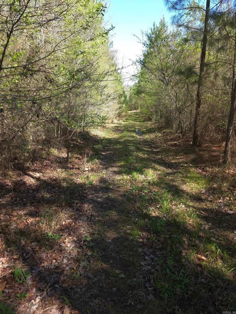 Lots & Land-Other in Murfreesboro - Murfreesboro, Arkansas, 71958