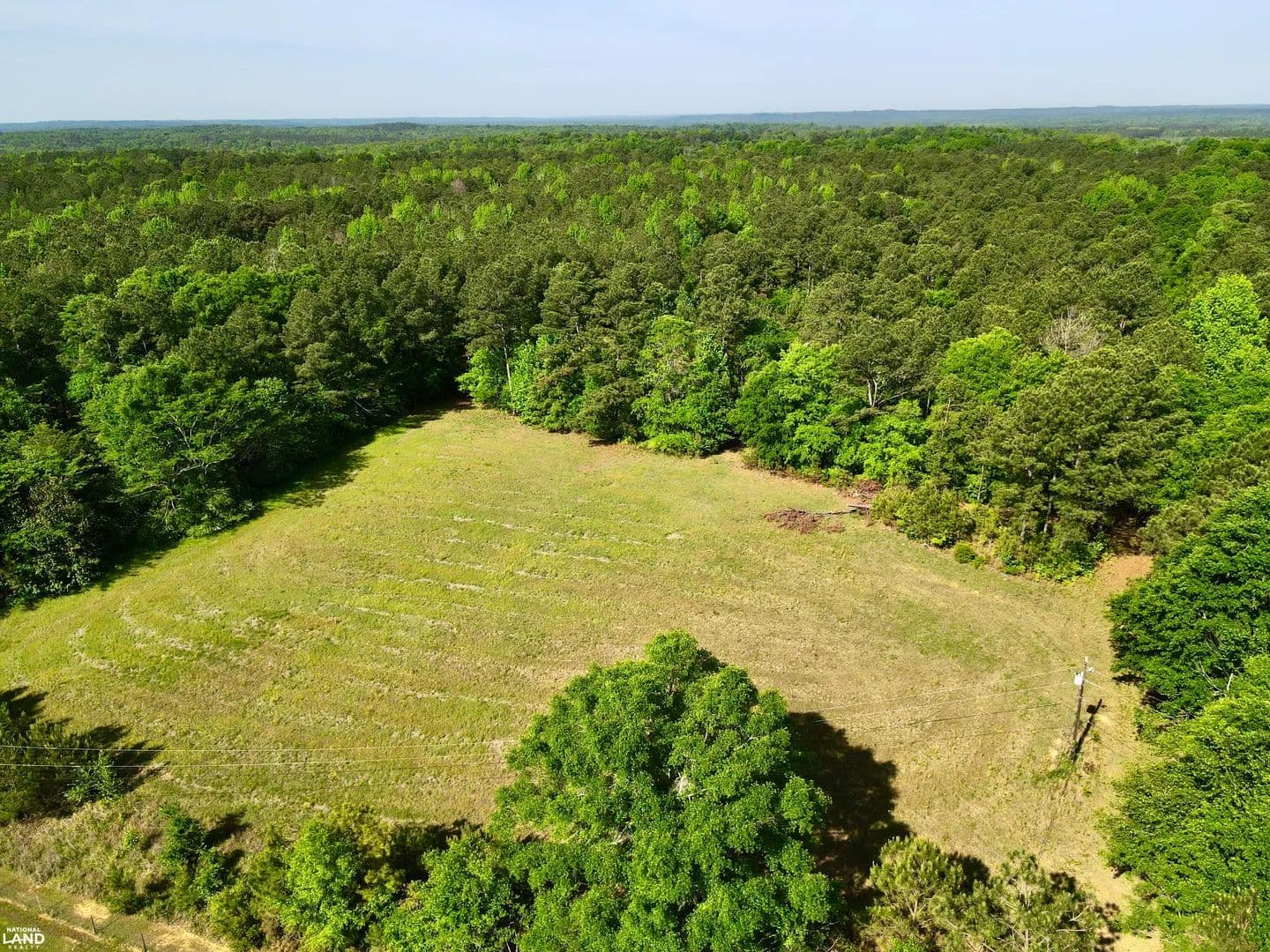 Hammer Creek Hunting, Timber & Homesite - Buhl, Alabama, 35446
