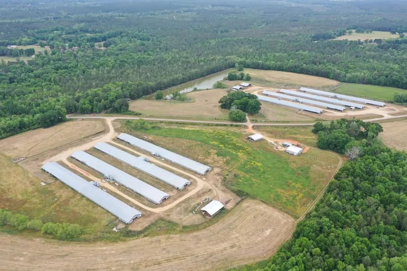 Phoenix Dragon Broiler Farm - Eight House Farm in Greene Co., MS