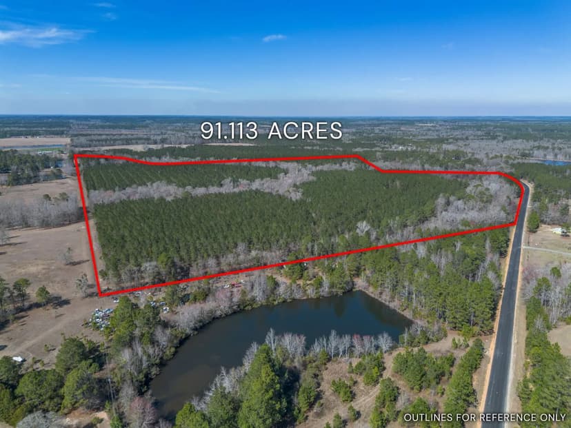 Lot 7 Hambrick - 91.11 Acres in Eastman, Dodge GA	
