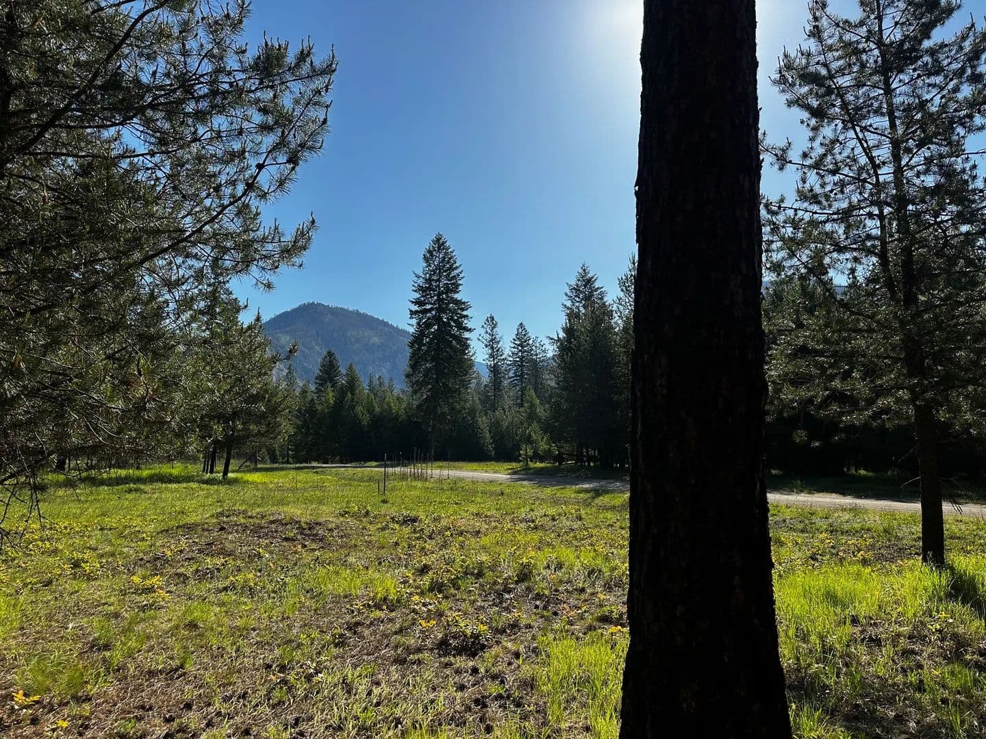 Property from NHN Graves Creek Loop - KW - Thompson Falls, Montana, 59873