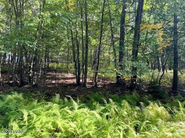 Vacant Land in Dingmans Ferry - Dingmans Ferry, Pennsylvania, 18328