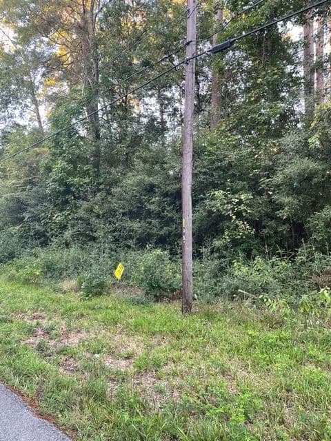 Hidden Forest - Montgomery, Texas, 77356