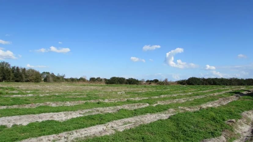  200 Acres of Commercial & Residential Development Lake Wales, FL