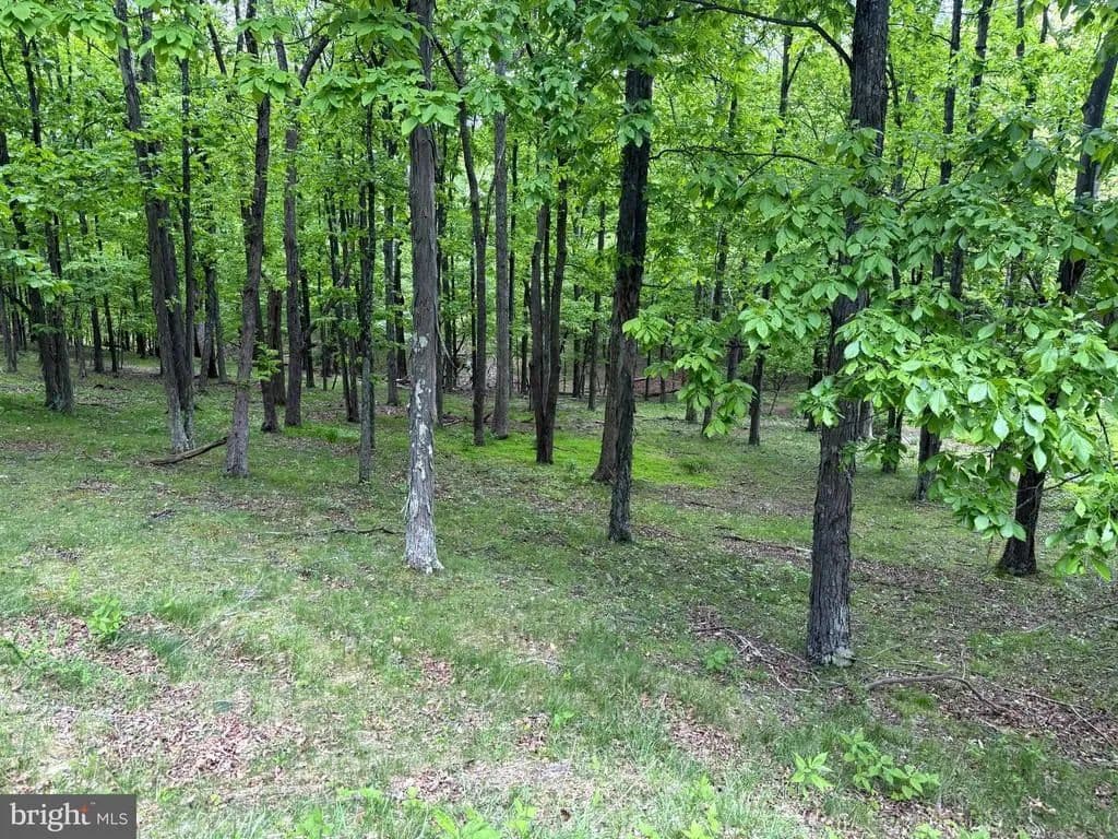 10.67 Acres of Land for Sale in New Creek, West Virginia - New Creek, West Virginia, 26743