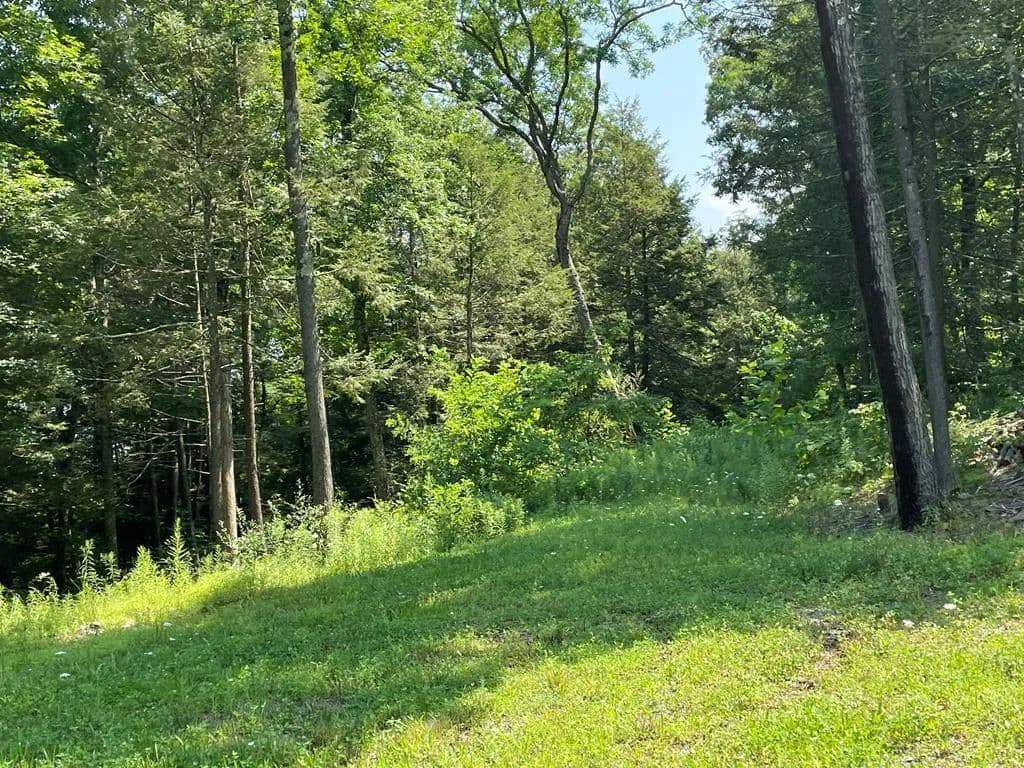 Lots & Land-Other in Towanda - Towanda, Pennsylvania, 18848