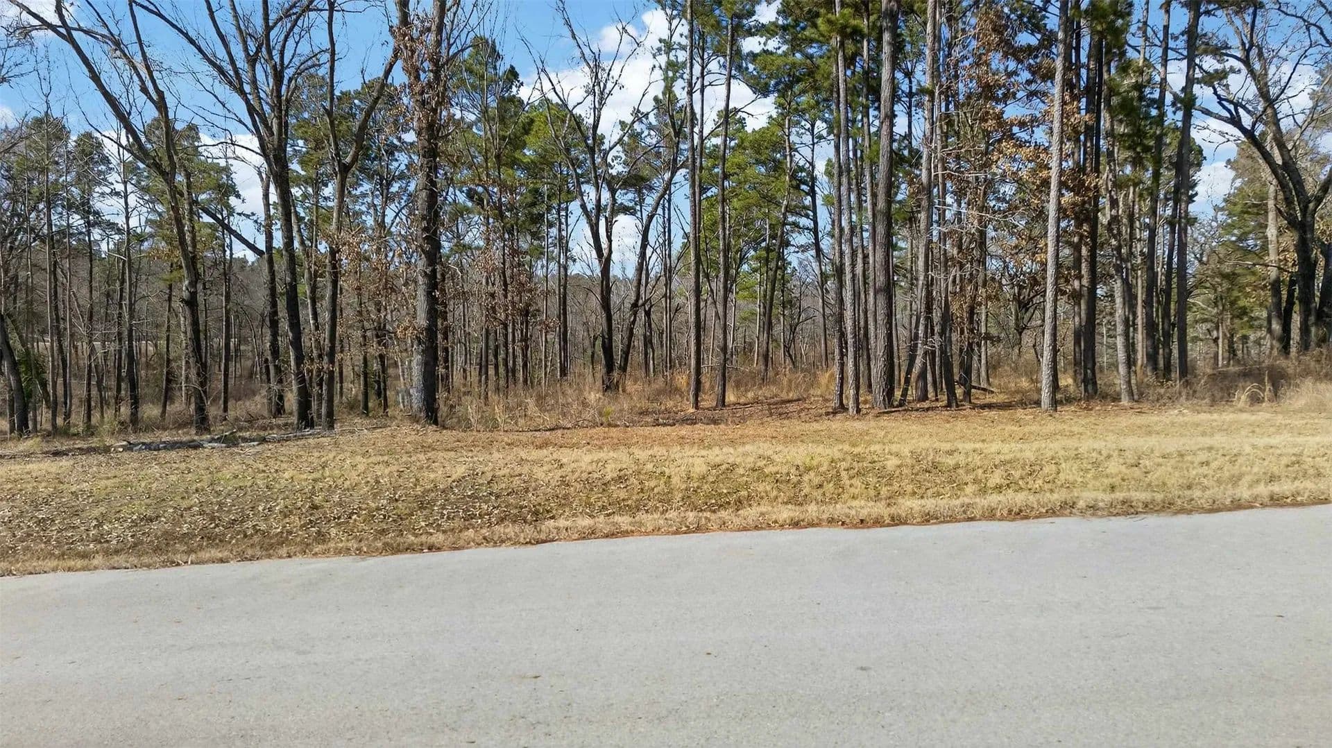 1.6 Acres of Land for Sale in Larue, TX - Larue, Texas, 75770