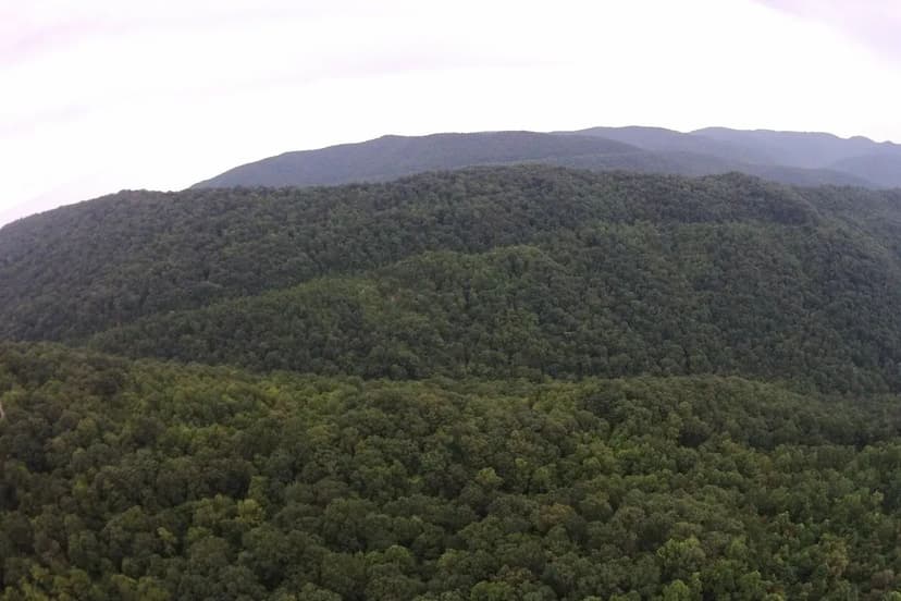 An exceptional opportunity awaits with 1016.06+/-acres of pristine East Tennessee mountain land