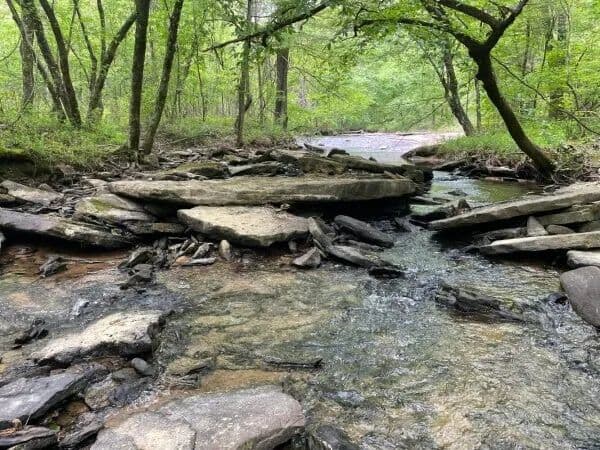 Brewer Creek Homestead/Hunting Tract - Warrior, Alabama, 35180