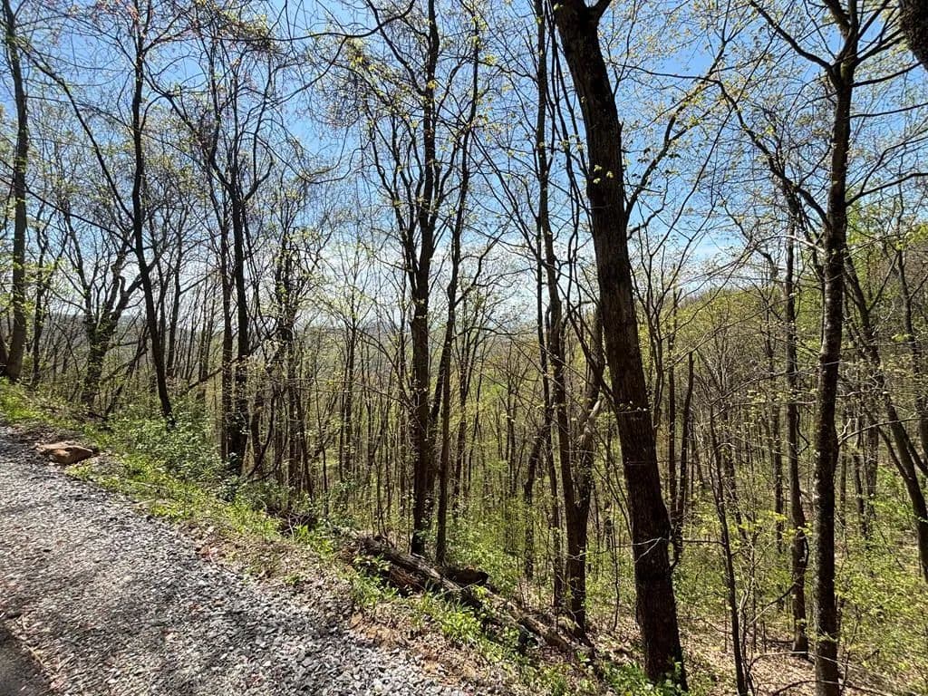 Lots & Land-Other in Murphy - Murphy, North Carolina, 28906