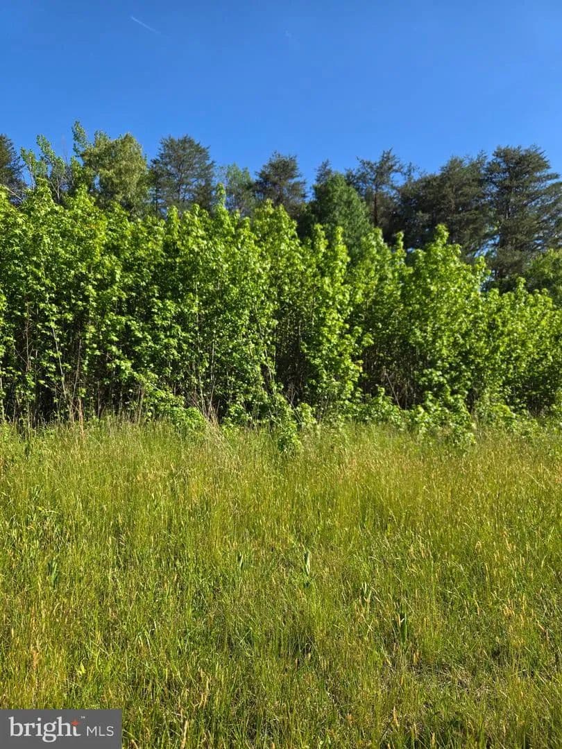 Vacant Land in Fredericksburg - Fredericksburg, Virginia, 22408