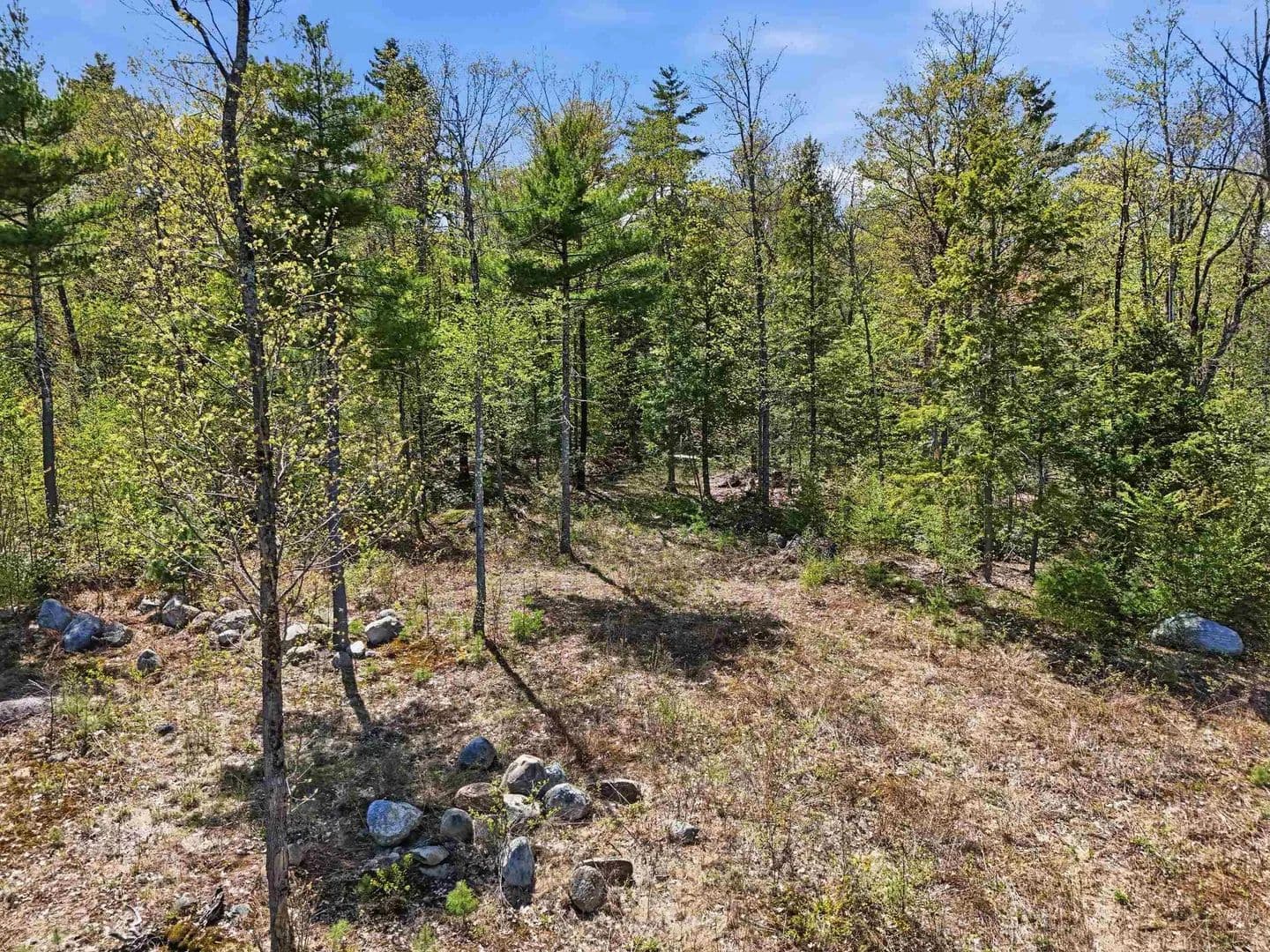 Vacant Land in Wilton - Wilton, New Hampshire, 3086