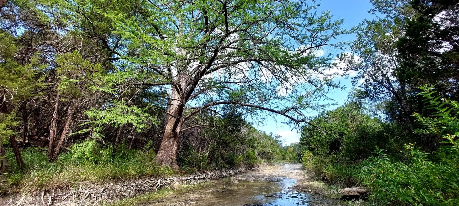 Lots & Land-Other in Wimberley - Wimberley, Texas, 78676