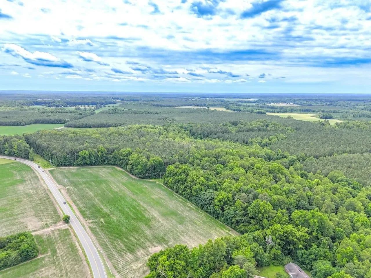 47 Deeded Acres of Farm, Timber and Hunting Land for Sale in Surry County VA! - Spring Grove, Virginia, 23881