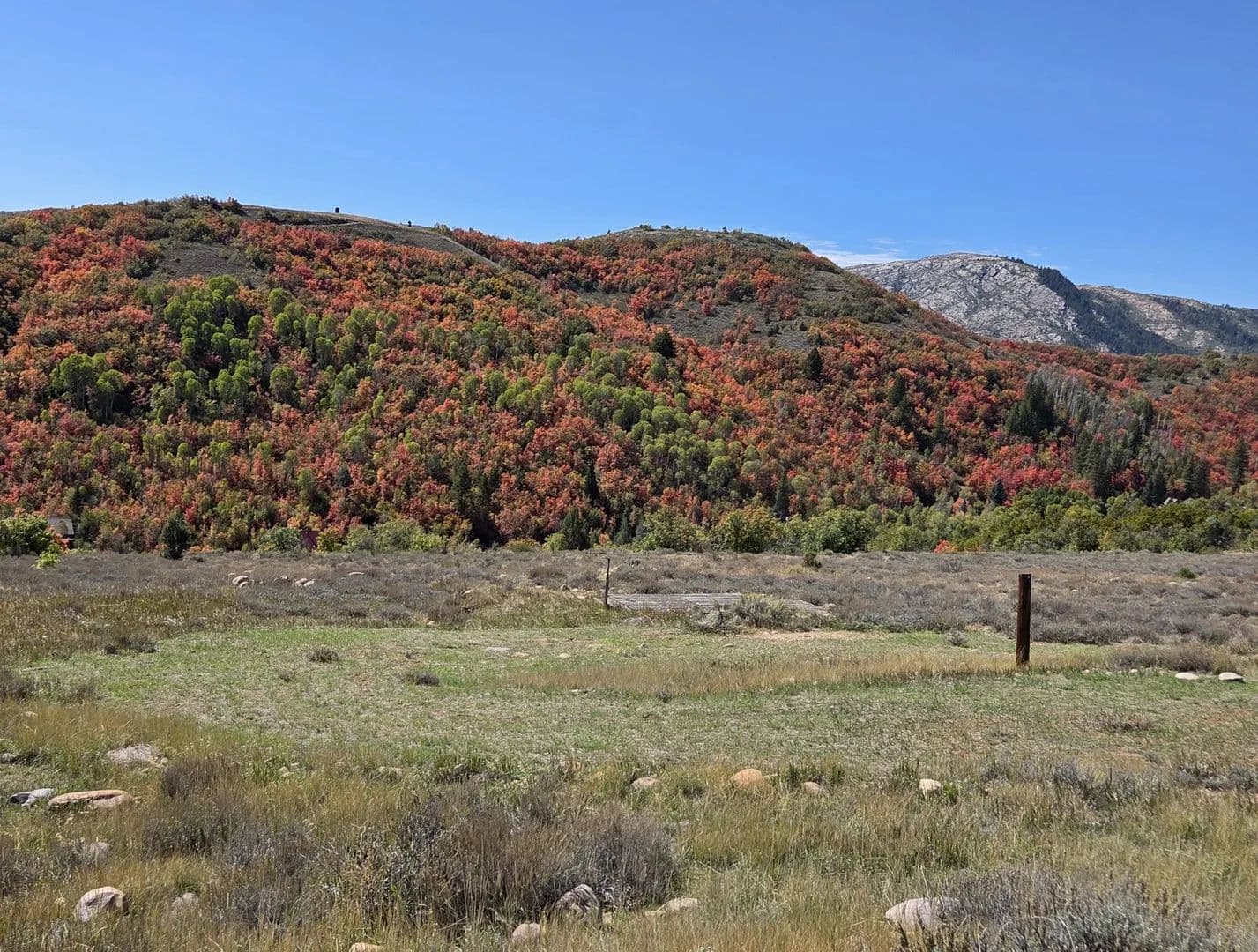 Land -Single Family Acreage in Huntsville - Huntsville, Utah, 84317