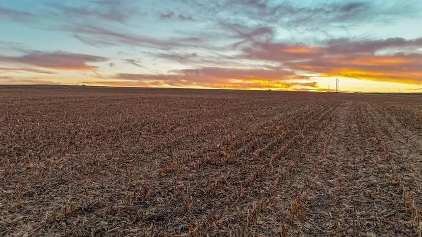 Dirks Irrigated/Dryland/Pasture Land Auction (Tract #7)
