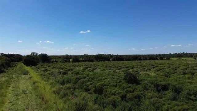 Land -Agricultural (Not Zoned) in Eunice - Eunice, Louisiana, 70535