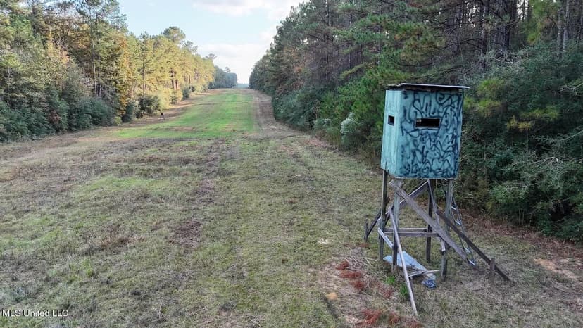 Prime Hunting Property in St Helena Parish, LA