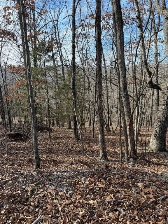 Lots & Land-Other in Garfield - Garfield, Arkansas, 72732