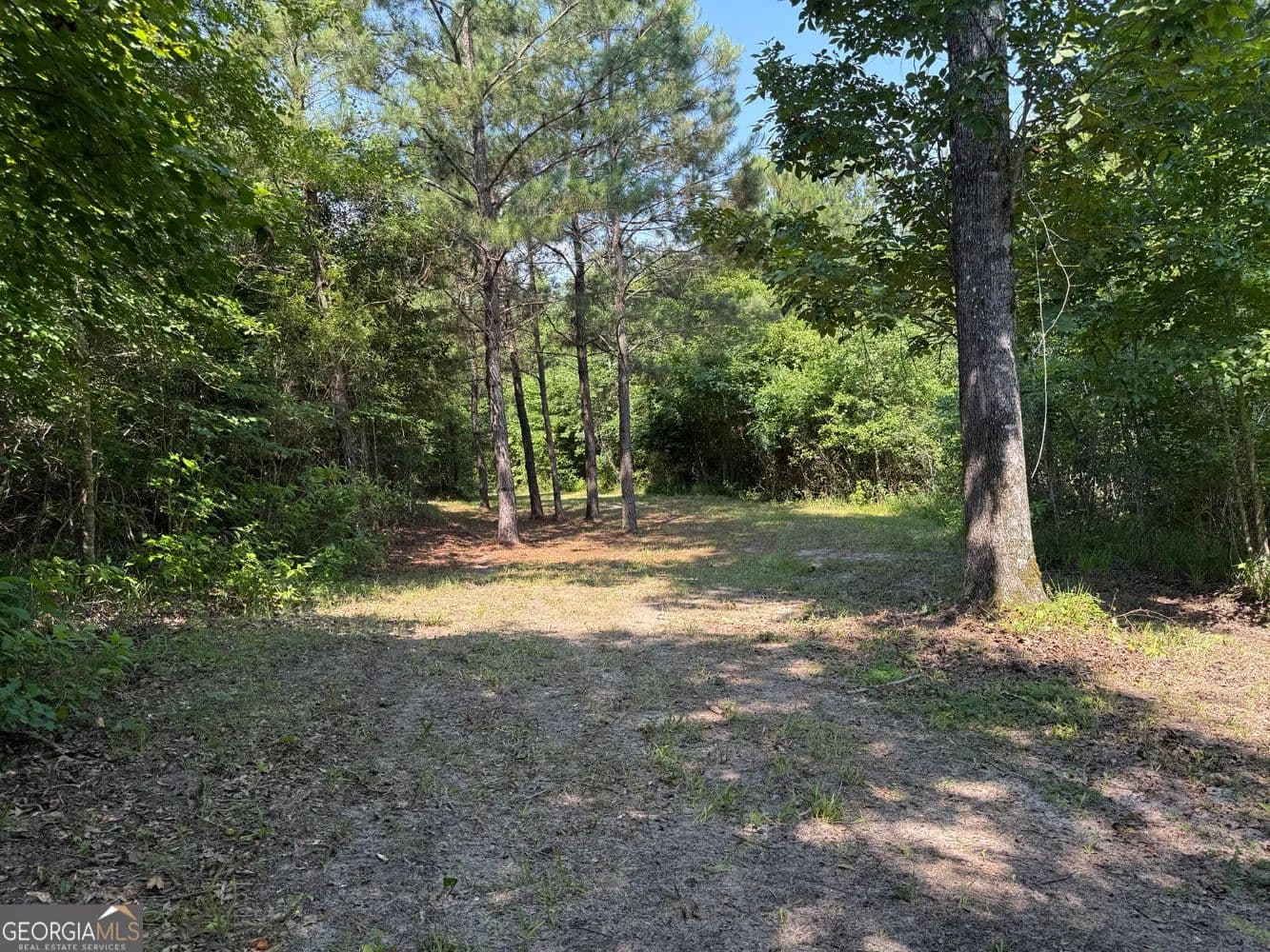 55.31 Acres of Land for Sale in Toomsboro, GA - Toomsboro, Georgia, 31090