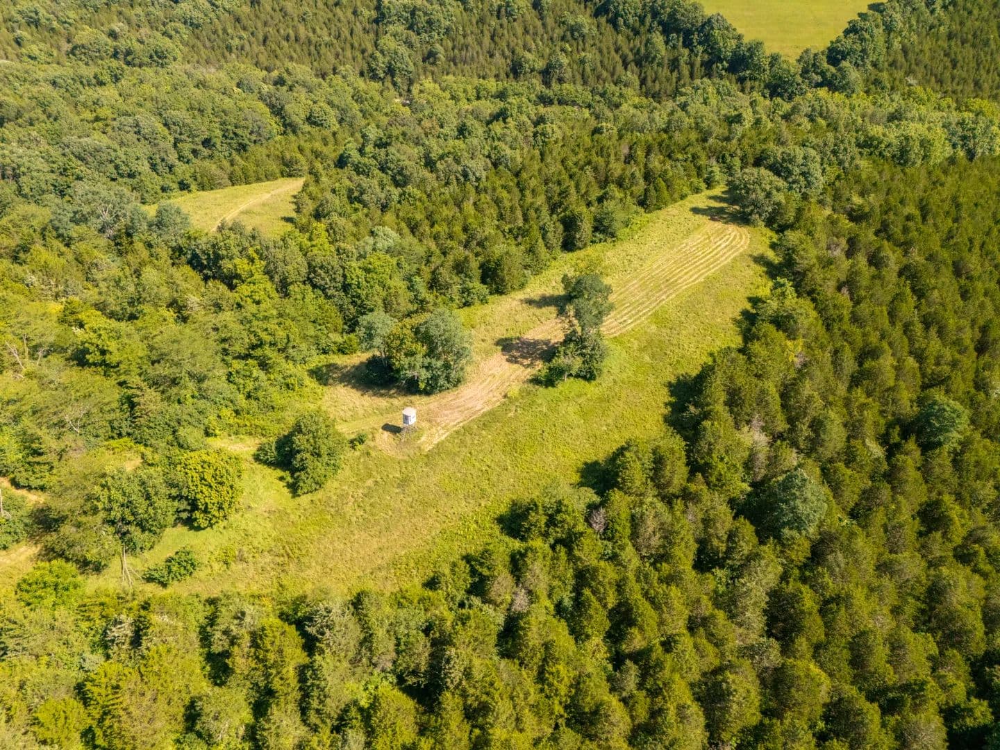 116 Acres with a Home in Pendleton County, KY  - Falmouth, Kentucky, 41040
