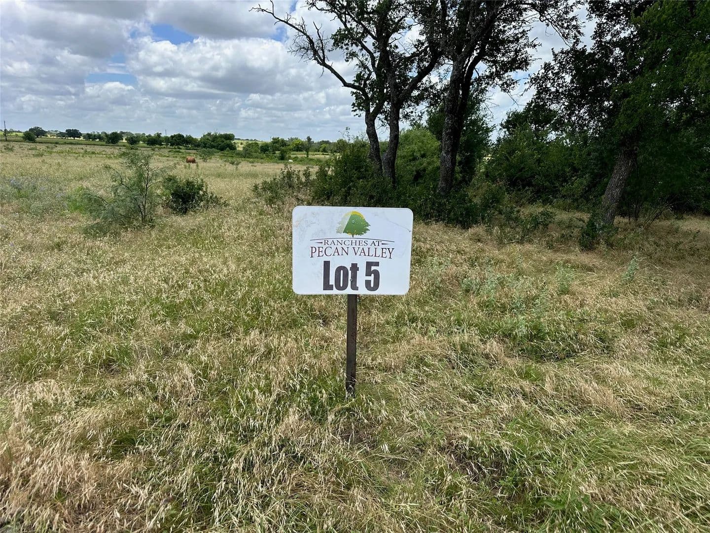 10.01 Acres of Land for Sale in Comanche, TX - Comanche, Texas, 76452