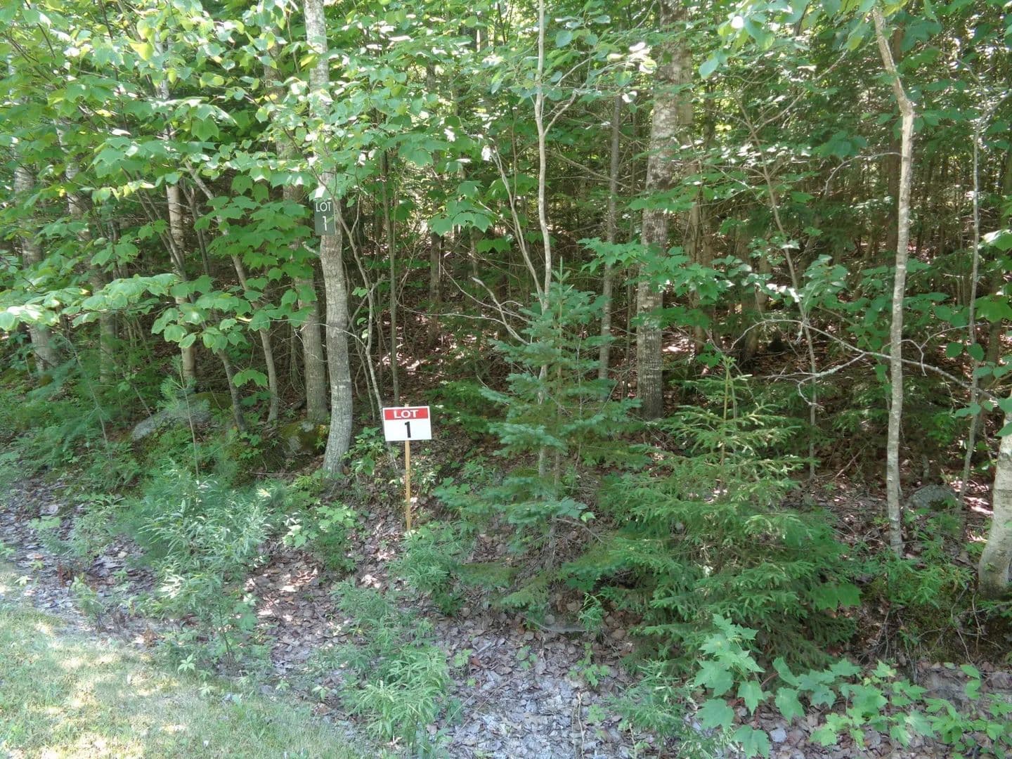 Land -Single Family Acreage in Franklin - Franklin, Maine, 04634