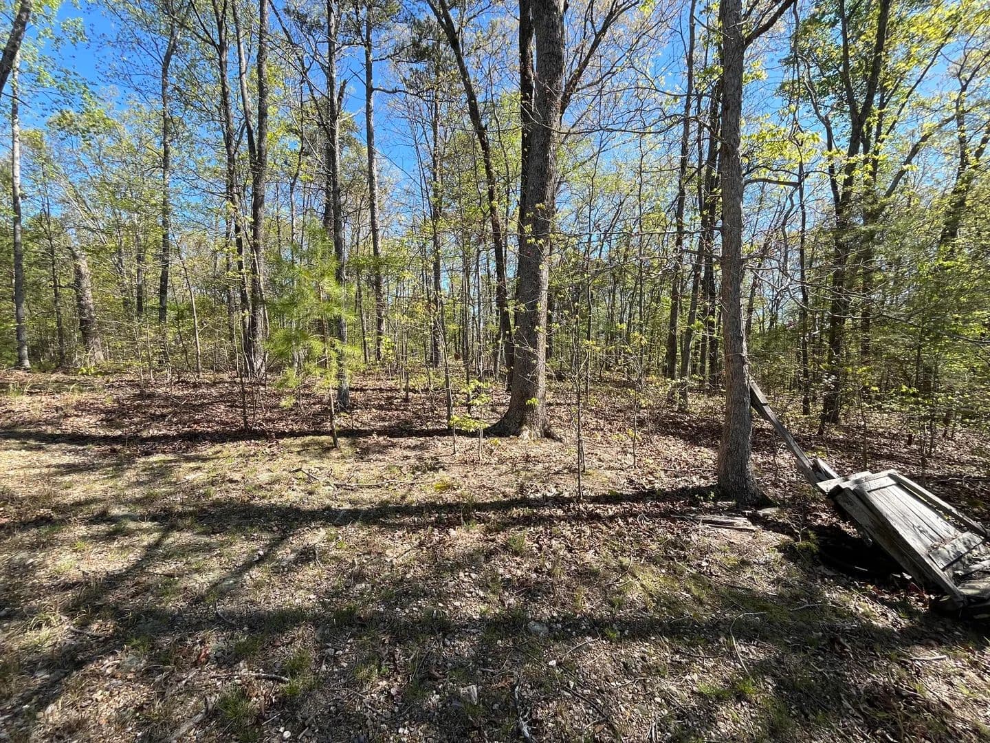 Vacant Land in Rocky Face - Rocky Face, Georgia, 30740