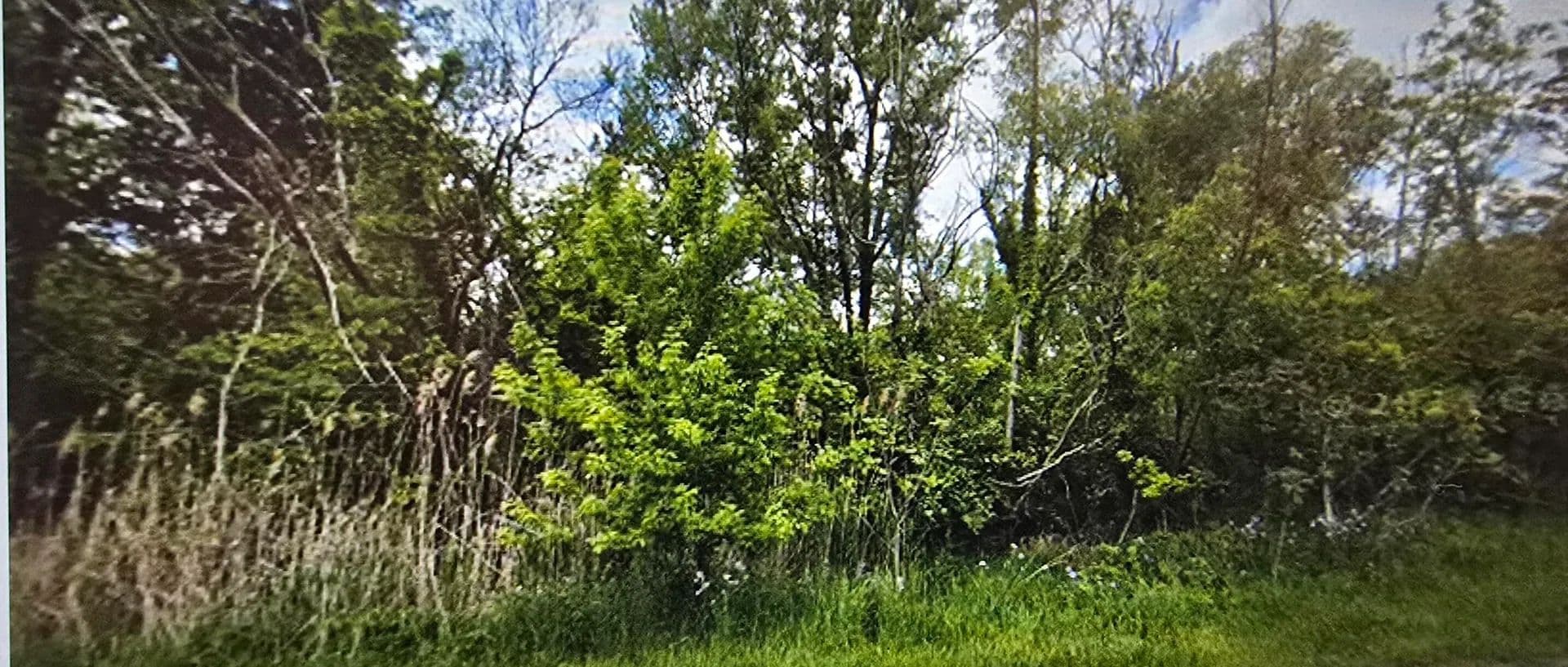Vacant Land in Lowell - Lowell, Indiana, 46356