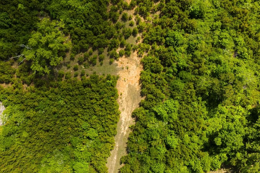 20 Acres in Winston County, MS 