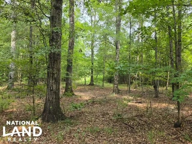 River Bottom Hideaway - Lowndesboro, Alabama, 36752