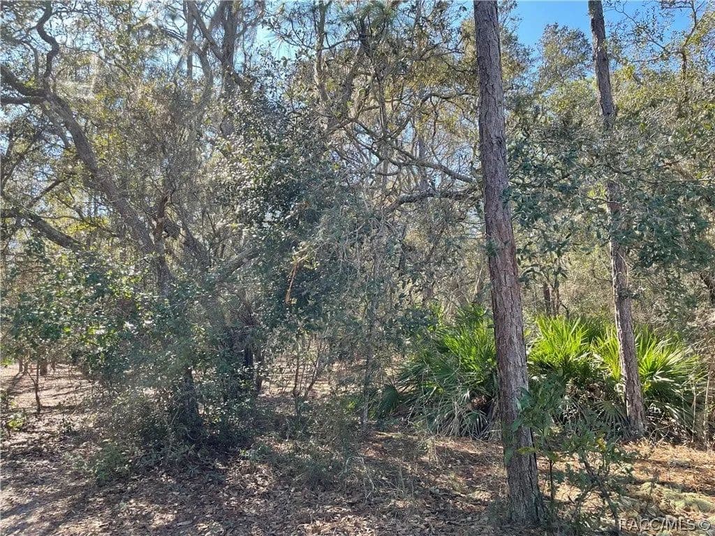 Lots & Land-Other in Inverness - Inverness, Florida, 34450